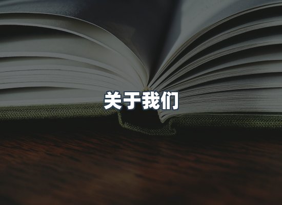 专业团队